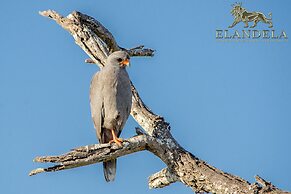 Elandela Private Game Reserve & Luxury Lodge