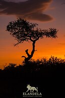 Elandela Private Game Reserve & Luxury Lodge