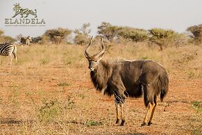 Elandela Private Game Reserve & Luxury Lodge