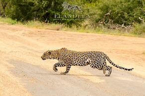 Elandela Private Game Reserve & Luxury Lodge