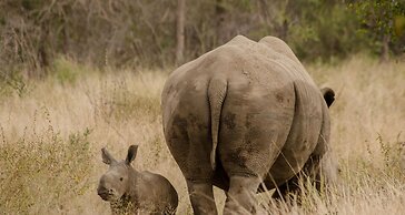 Elandela Private Game Reserve & Luxury Lodge