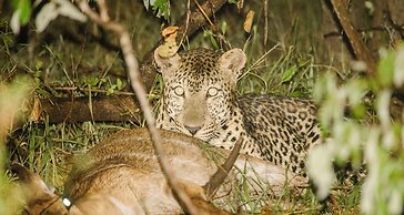 Elandela Private Game Reserve & Luxury Lodge
