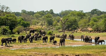 Elandela Private Game Reserve & Luxury Lodge