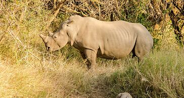 Elandela Private Game Reserve & Luxury Lodge