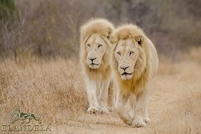 Elandela Private Game Reserve & Luxury Lodge