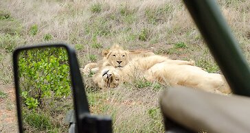 Elandela Private Game Reserve & Luxury Lodge