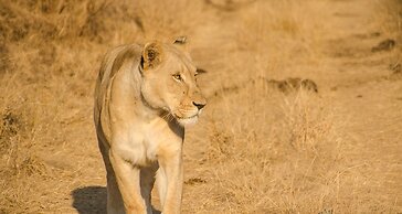 Elandela Private Game Reserve & Luxury Lodge