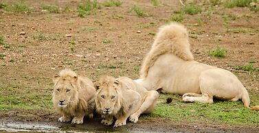 Elandela Private Game Reserve & Luxury Lodge
