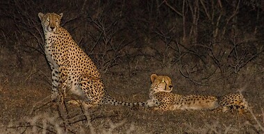 Elandela Private Game Reserve & Luxury Lodge