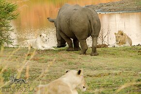 Elandela Private Game Reserve & Luxury Lodge
