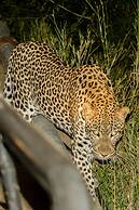 Elandela Private Game Reserve & Luxury Lodge