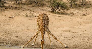 Elandela Private Game Reserve & Luxury Lodge