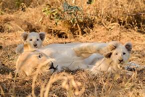 Elandela Private Game Reserve & Luxury Lodge