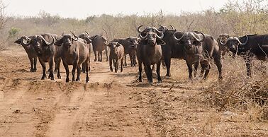 Elandela Private Game Reserve & Luxury Lodge