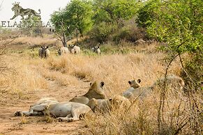 Elandela Private Game Reserve & Luxury Lodge