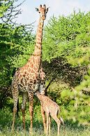 Elandela Private Game Reserve & Luxury Lodge