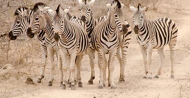 Elandela Private Game Reserve & Luxury Lodge