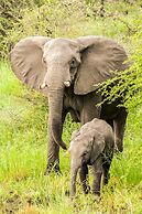 Elandela Private Game Reserve & Luxury Lodge