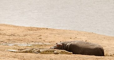 Elandela Private Game Reserve & Luxury Lodge