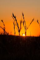 Elandela Private Game Reserve & Luxury Lodge