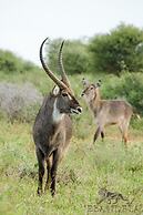 Elandela Private Game Reserve & Luxury Lodge