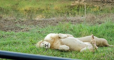 Elandela Private Game Reserve & Luxury Lodge