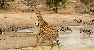 Elandela Private Game Reserve & Luxury Lodge
