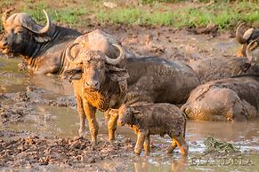 Elandela Private Game Reserve & Luxury Lodge