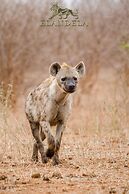 Elandela Private Game Reserve & Luxury Lodge