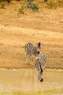 Elandela Private Game Reserve & Luxury Lodge