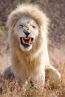 Elandela Private Game Reserve & Luxury Lodge