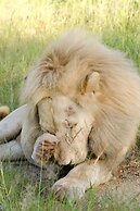 Elandela Private Game Reserve & Luxury Lodge