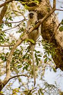 Elandela Private Game Reserve & Luxury Lodge