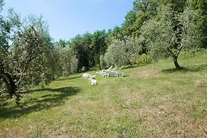 Il Vecchio Mulino Farmhouse