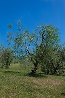 Il Vecchio Mulino Farmhouse
