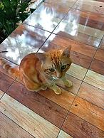 Lanta Maikeaw Bungalow