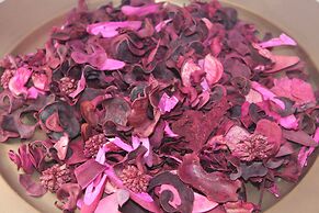 Ericeira Chill Hill Hostel & Private Rooms