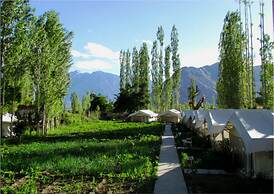 TIH Mystique Meadows Camp