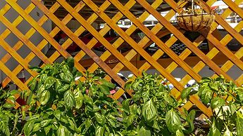 Hotel & Pousada Favareto