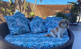 Hotel & Pousada Favareto