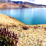 TIH Tsomoriri Hotel Lake View