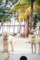 Thatch Caye, a Muy'Ono Resort