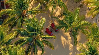 Buttonwood Belize