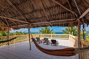Buttonwood Belize