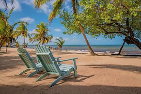 Buttonwood Belize