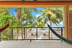 Buttonwood Belize