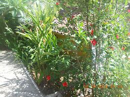 Titi Sedana Homestay