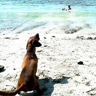 La Pernela Beachfront Resort