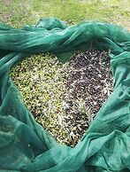 Trulli Resort Monte Pasubio