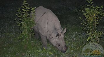 River View Jungle Camp